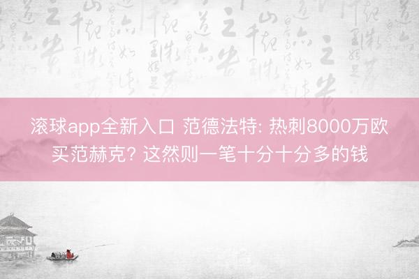 滚球app全新入口 范德法特: 热刺8000万欧买范赫克? 这然则一笔十分十分多的钱