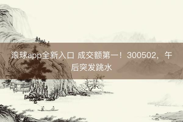 滚球app全新入口 成交额第一!300502,午后突发跳水