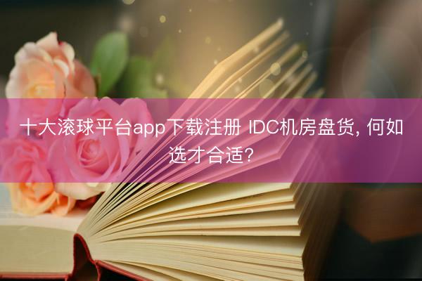 十大滚球平台app下载注册 IDC机房盘货, 何如选才合适?