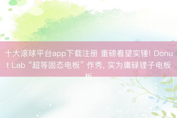 十大滚球平台app下载注册 重磅看望实锤! Donut Lab “超等固态电板” 作秀, 实为庸碌锂子电板