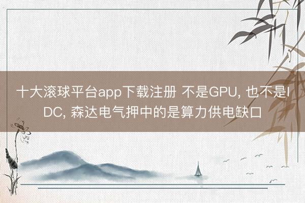 十大滚球平台app下载注册 不是GPU, 也不是IDC, 森达电气押中的是算力供电缺口