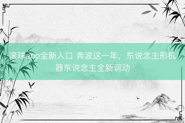 滚球app全新入口 奔波这一年，东说念主形机器东说念主全新调动