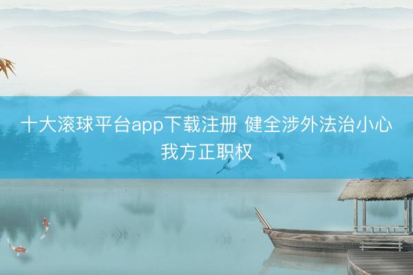 十大滚球平台app下载注册 健全涉外法治小心我方正职权