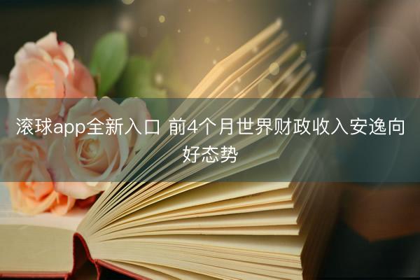 滚球app全新入口 前4个月世界财政收入安逸向好态势