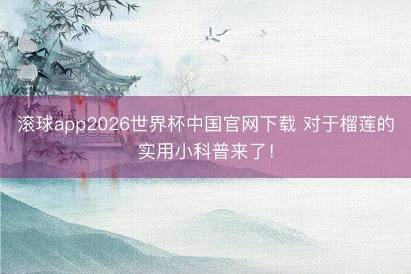 滚球app2026世界杯中国官网下载 对于榴莲的实用小科普来了！