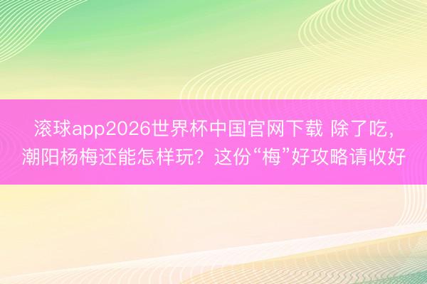 滚球app2026世界杯中国官网下载 除了吃,潮阳杨梅还能怎样玩?这份“梅”好攻略请收好